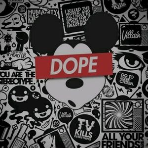 Meet your Posher, Ava